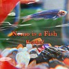 Nemo is a Fish（羽阿魚）