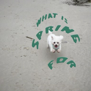 春天是用来做什么的