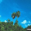我阿姨也癢 花蓮版（HLC version）by HengJones, Bardi