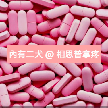 內有二犬 〈相思普拿疼 〉