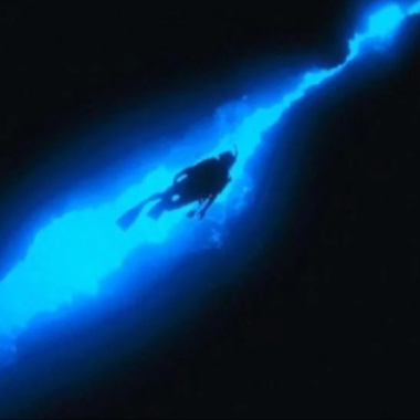 內有二犬 〈下一站 大溪地〉