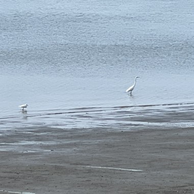 Melancholic Serenity