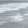 Fluss