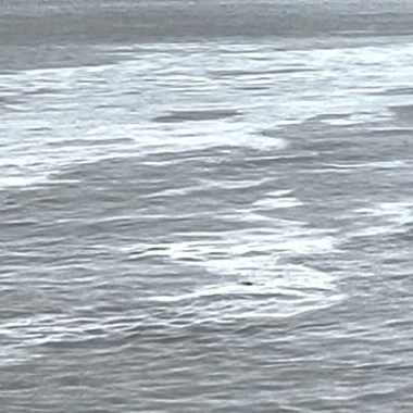 Fluss