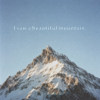 I saw a beautiful mountain