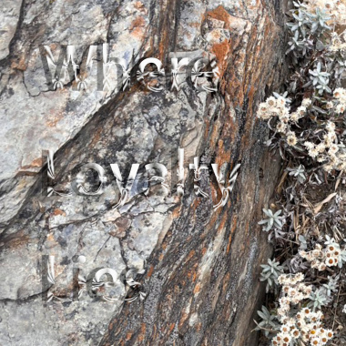 Hex-Where Loyalty Lies