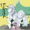 走吧！我們一起看帕芬鳥