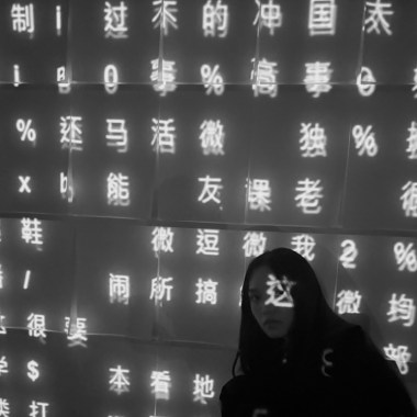 墜落 (dm