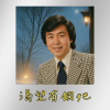 高仿懷舊金曲系列–《渴望有個她》