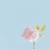 春／original piano