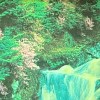 野獸