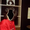 地平论