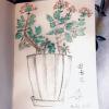 过年吼之《迎春花》