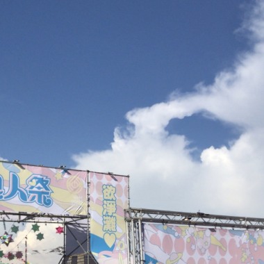 8 81種