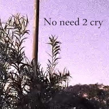 No need 2 cry