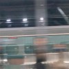 對的 FREESTYLE