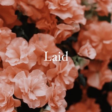 LAID-Adway&Rookie