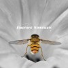 Elephant Sleepwalk-demo