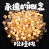 永遠的概念
