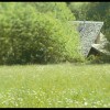 LETTER (ending)