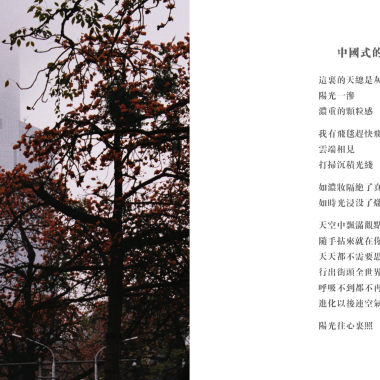 施妙力吸尘器 - 中国式的天空下 （客厅现场版）
