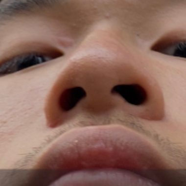Thisbarsmeknosens