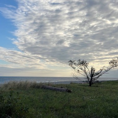 其他拒絕 我只想要妳