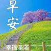 春天的反應