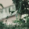 明天會更好的吧？