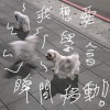 我想要學會瞬間移動（40sec demo）