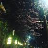 下雨的夜晚