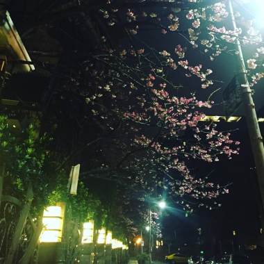 下雨的夜晚