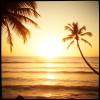 Coastal Serenity