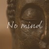 No mind