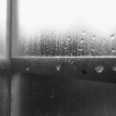 霧