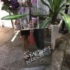 不要拘泥於我