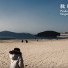 聽見
