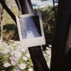 宝丽来幽灵 👻Polaroid Ghosts