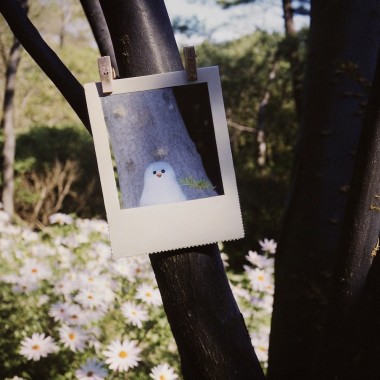 宝丽来幽灵 👻Polaroid Ghosts