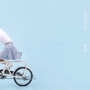 骑单车去海边找你