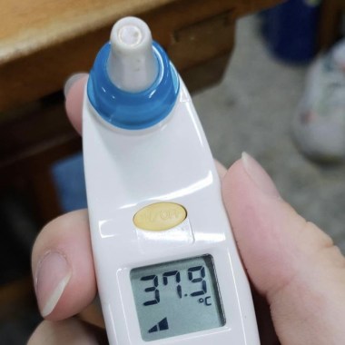 37.9（aka致船長）（2023live)