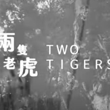 兩隻老虎TwoTigers