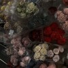 【花隈千冬】夢の中の約束