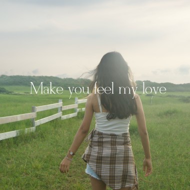Make you feel my love