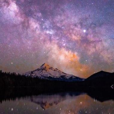 寻觅着恒星
