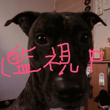 我是如此覬覦你