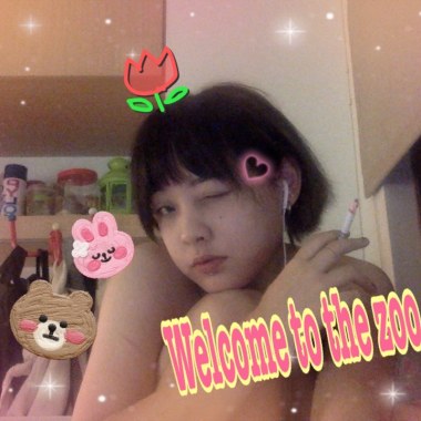 welcome to the zoo-刺蝟