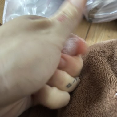 承諾給世界