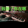 我醉了你在哪  I am Drunk Where are You