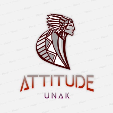 ATTITUDE